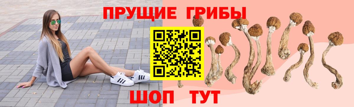 Галлюциногенные грибы MAGIC MUSHROOMS  Вход с VPN  Кольчугино 